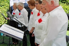 Cantabile-7-copy