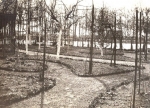 1909 7 Tuin